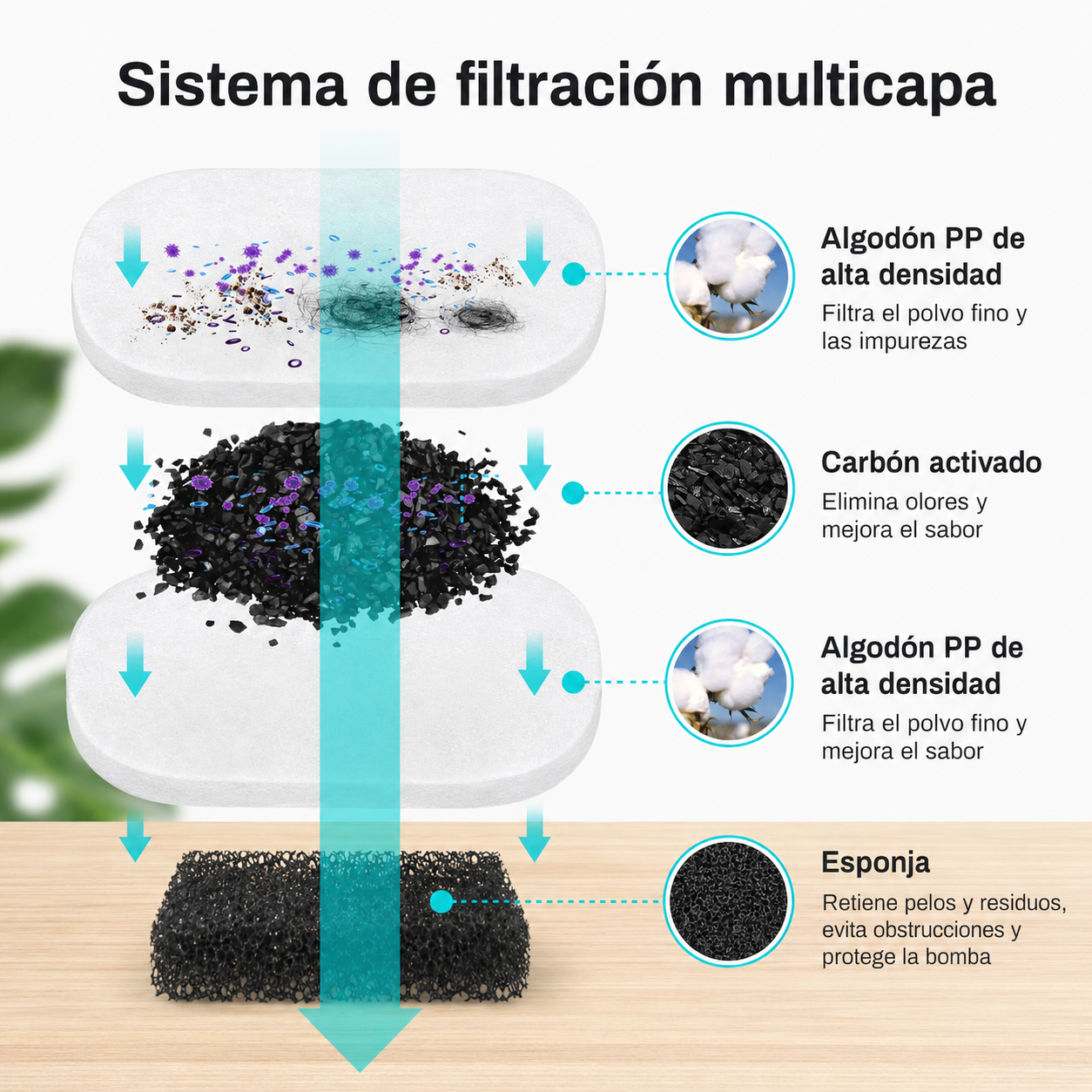 Fuente de agua para gatos Miaunda 2,2 L – Acero inoxidable