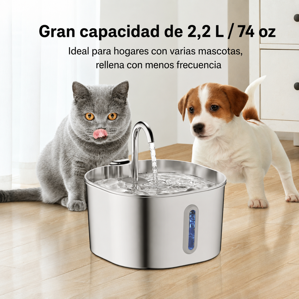 Fuente de agua para gatos Miaunda 2,2 L – Acero inoxidable